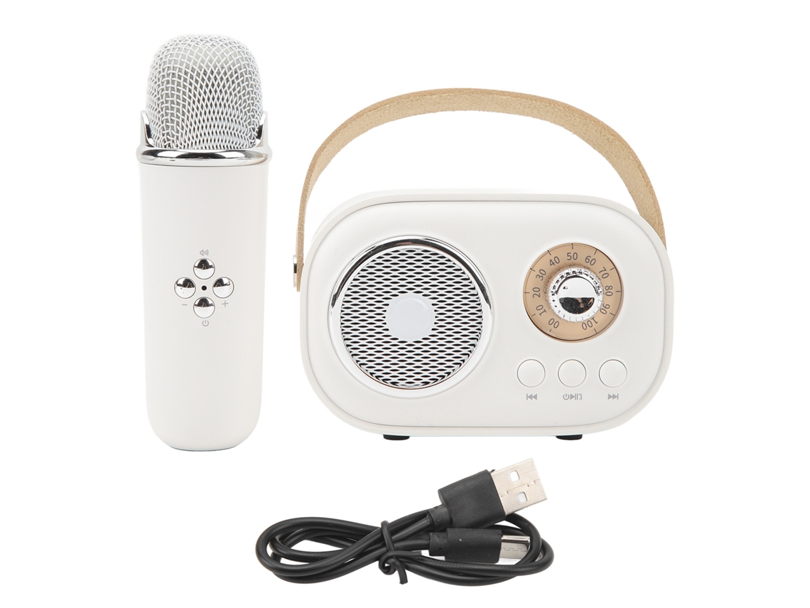 2026 altavoz Bluetooth Portátil com Microfone Máquina de Karaokê Recarregável para Festa em Casa Crianças Branco