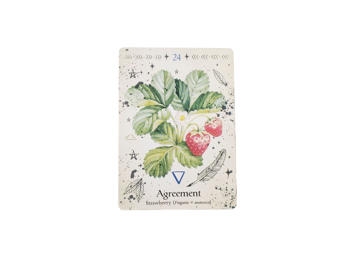 Novo Jogo de Cartas Oráculo da Bruxa Verde e do Oráculo Das Plantas Verdes Popular MDUG