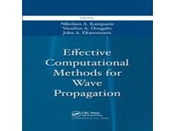 Livro Effective Computational Methods for Wave Propagation de Taylor Francis Ltd (Inglês)