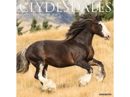 Livro Clydesdales 2026 Wall Calendar de Willow Creek Press (Inglês)