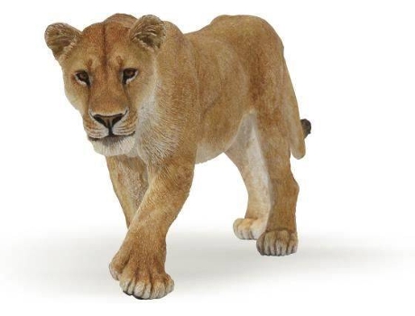 Figura Leoa 
