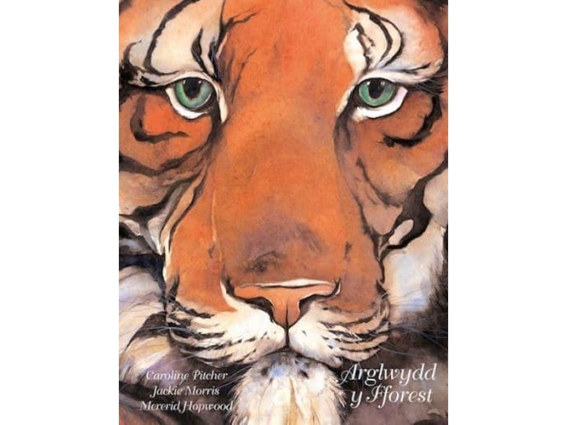 Livro Arglwydd y Fforest de Caroline Pitcher (Galês - Capa Dura)