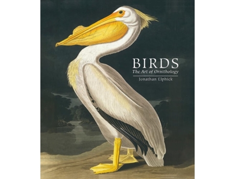 Livro Birds De Jonathan Elphick (inglês - Capa Dura)