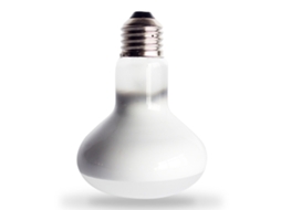 2026 bombilla de Calor para Répteis 100w 110v com Uva, Lâmpada de Exposição para Tartarugas, Lagartos e Ouriços