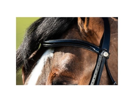 Cabeçotes de cavalo HFI Weymouth