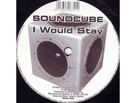 Vinil I Would Stay White Records