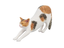 Primerox estátua de Gato Realista Educativa Cute Modelo de Gato Simulado Brinquedo para Crianças