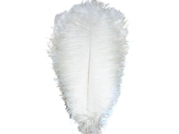 Lote De 100 Plumas Naturais 35 A 40 Cm Para Centro De Mesa De Casamento, Decoração De Interior (bla)