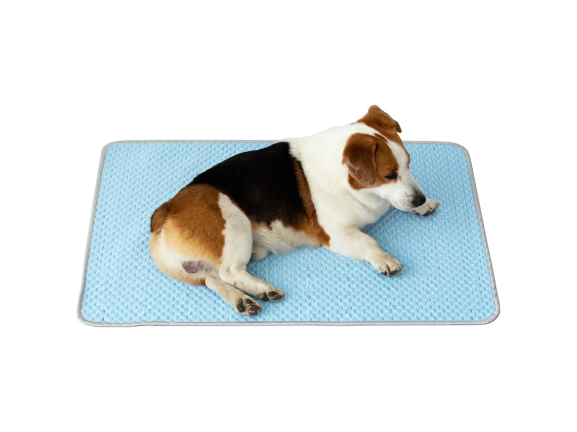 Tapete Refrescante, com Gel, para Cães e Gatos, Azul AQUAFORGE