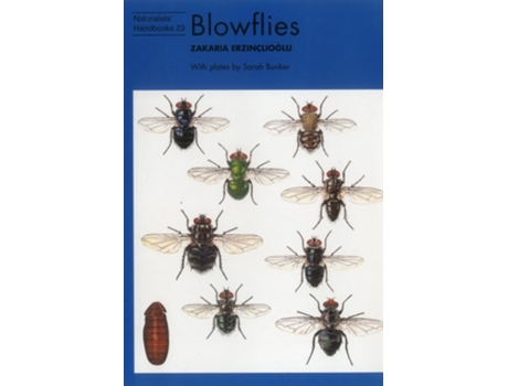 Livro Blowflies de Zakaria Erzinclioglu (Inglês)