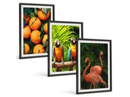 Pinturas Murais Modernas Detalhes De Frutas Tropicais Moldura Preta Imagens Para Um Quarto Infantil Espelharte (3 Piezas De 40x60 Cm)