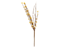 Flores de Páscoa Amarelas e Brancas com Pólo de Melancia LAXISCREED