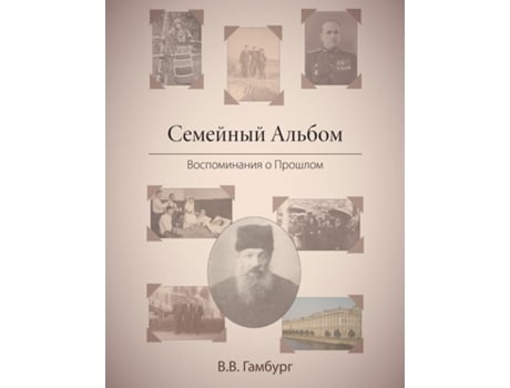 Livro The Family Album Reminiscing About The Past De In ??????? Veronica B Gamburg (inglês)