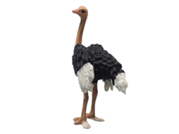 Primerox figurina de Avestruz Realista Lifelike Educativa Brinquedo Modelo Animal Selvagem Pvc para Crianças