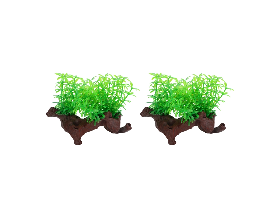 2 Plantas Decorativas Aquário LAXISCREED
