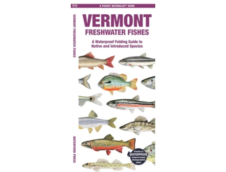 Livro Vermont Freshwater Fishes De Waterford Press Waterford Press (inglês)