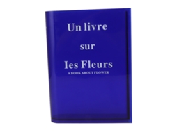 Vaso De Acrílico Transparente Para Flores Azul Livro