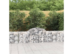 Vidaxl Cestos Gabião Arqueados 10pcs 200x30x60/80 Cm Ferro Galvanizado