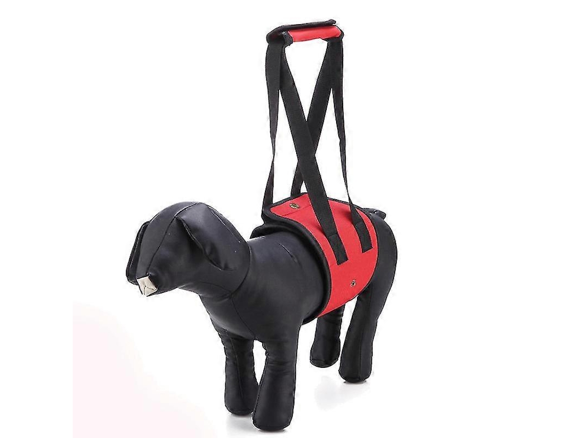 Suporte Para As Costas De Cães Idosos Com Artrite E Mobilidade Reduzida Yjd Slowmoose