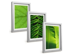 Composição De Quadros Folhas Tropicais, Macrofotografia Espelharte (3 Peças 20x30 Cm)