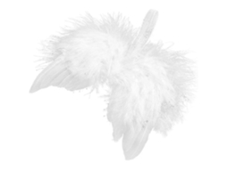 10 Peças De Asas De Anjo, Penas Reais, Enfeites De Árvore De Natal Olysi Shop