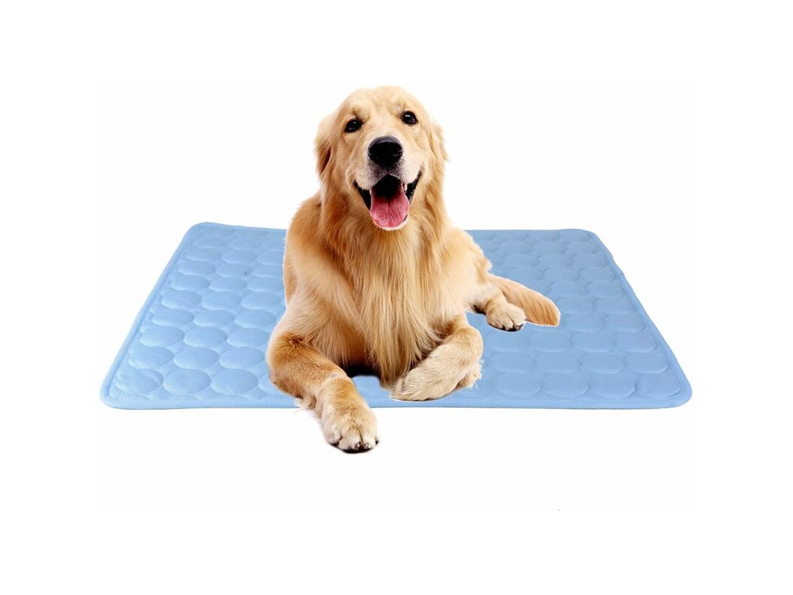 Tapete Refrescante, para Pets, Tamanho M, Azul AQUAFORGE