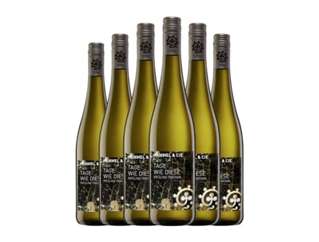 Vinho branco HAMMEL Tage Wie Diese Riesling Seco Pfälz (0.75 L - 6 Unidades)