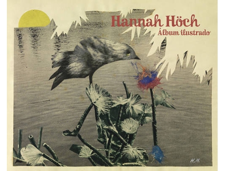 Livro Album Ilustrado de Hannah Höch