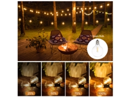 Luzes de Rope Exterior G40, 6.4m/21ft, 15+1 Leds, Dimmable, Controlador, Timer, Ip65 | S/MARCA