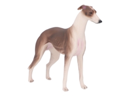 Mali figura Realista de Greyhound Modelo Cão Plástico para Educação Infantil 3+ Anos
