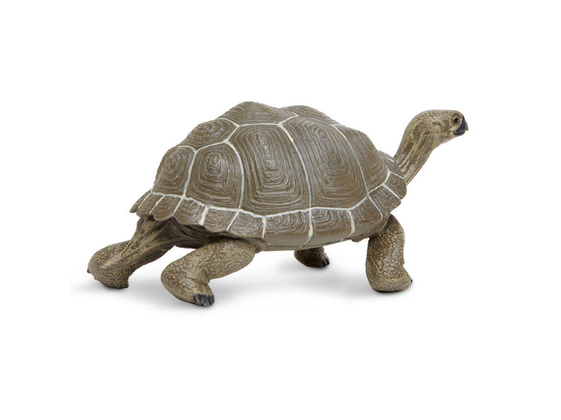 Safari Ltd Tortoise 2