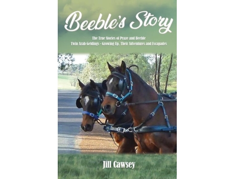 Livro Beebles Story De Jill Cawsey (inglês)