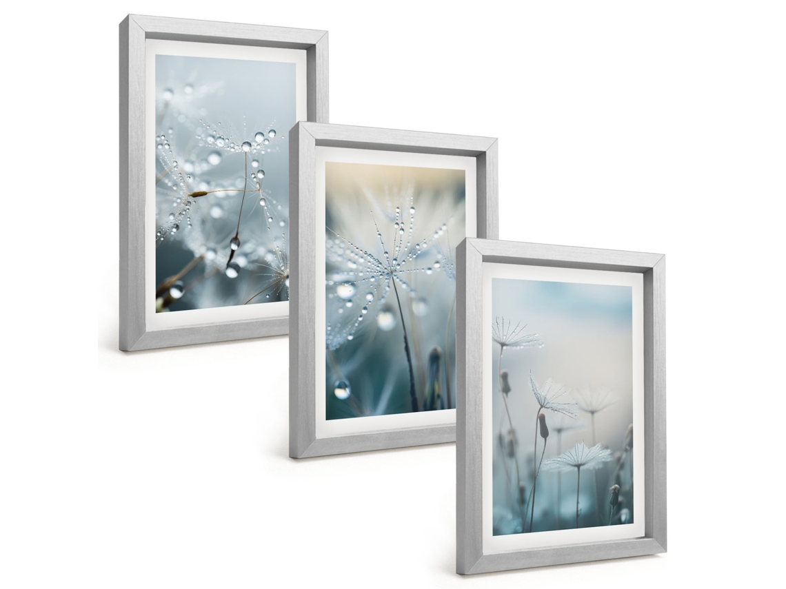 Quadros Decorativos Para Paredegotas De Orvalho Em Dentes-de-leão Moldura Prateada Quadros Para O Escritório Espelharte (3 Peças 20x30 Cm)