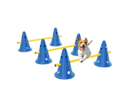 Conjunto Dogs Agility 3 Peças, Barreiras+6 Cones+3 Bolsas, Treino Cães