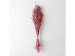SKLUM Ramos Secos Decorativos Bairad Fibra Vegetal Ameixa Rosa