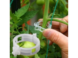 Pacote com 200 Prendedores de Plástico para Jardinagem, Tomate | AQUAFORGE