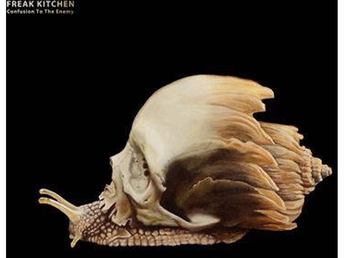 Vinil Freak Kitchen - Confusion Species (1CDs)