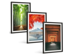 Conjunto De Pinturas Floresta De Bambu, Paisagem Do Monte Fuji Espelharte (3 Peças 40x60 Cm)