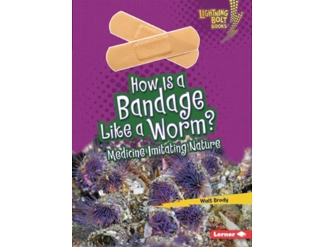 Livro How Is a Bandage Like a Worm? de Walt Brody (Inglês)