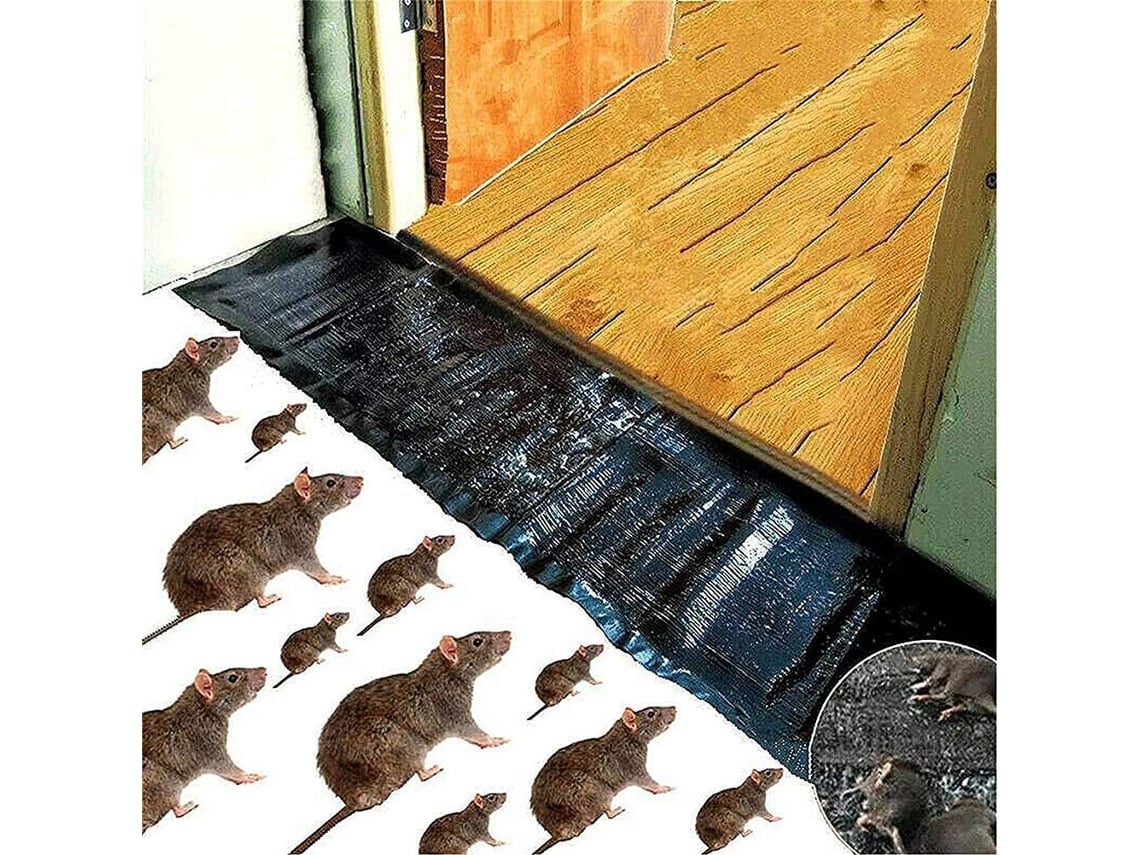 Trap De Cola Para Ratos E Camundongos