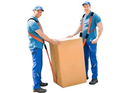 Alças De Transporte Para Mudanças, Alça De Transporte Para 2 Pessoas, Transporte