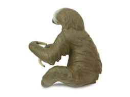 SAFARI Two-Toed Sloth