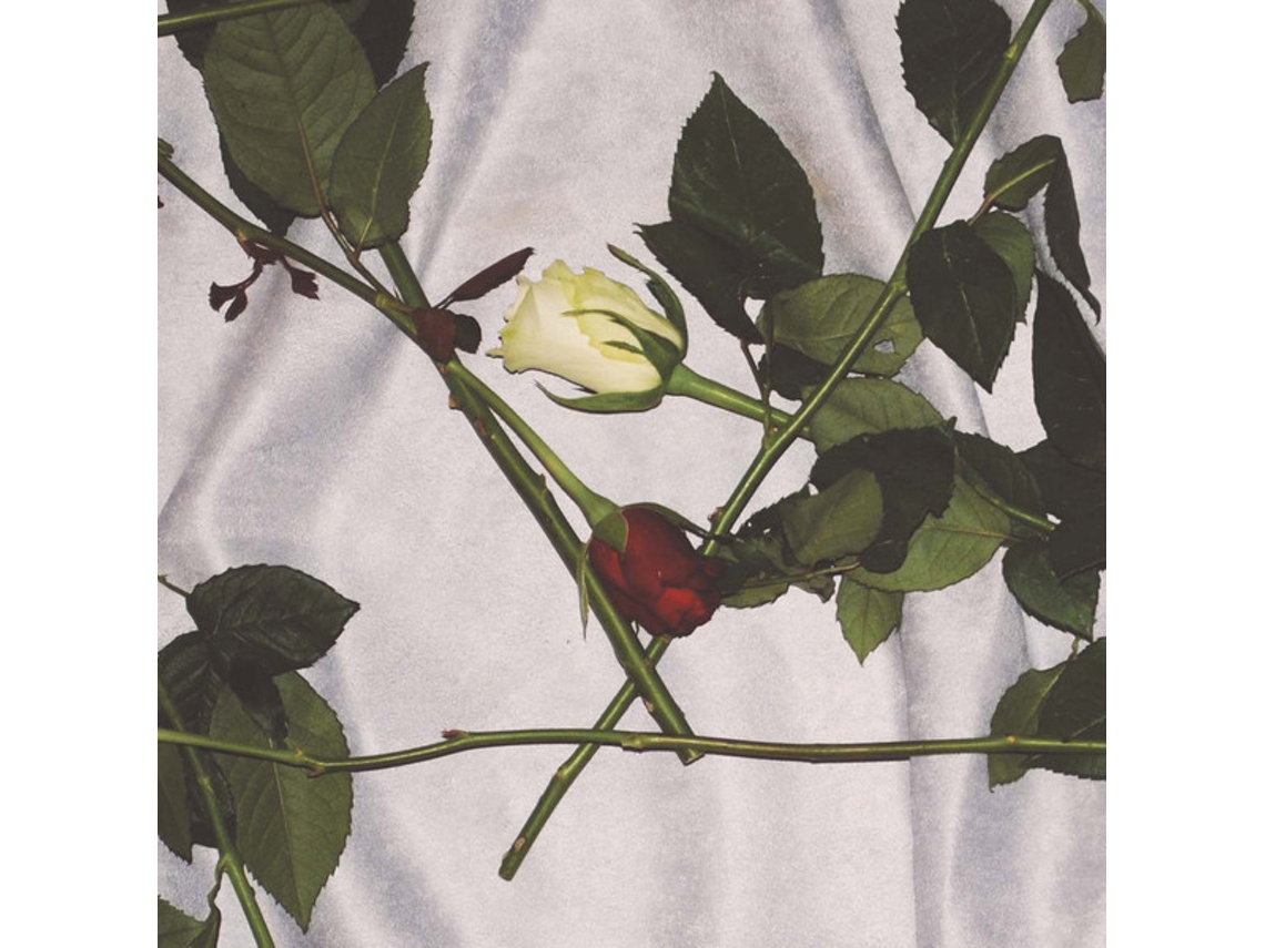 Vinil Chain Of Flowers Chain Of Flowers Worten.pt