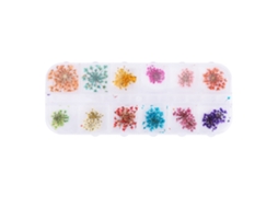 Rebe - 12 Cores de Flores Naturais Secas para Decoração de Unhas com Gel Acrílico UV para Manicure Faça Você Mesmo