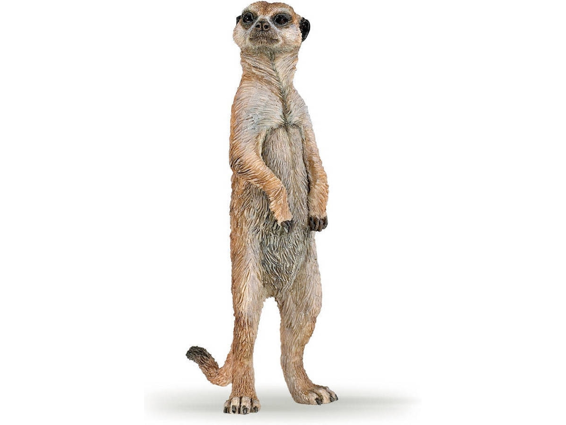Figura PAPO Suricata