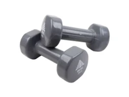 Halteres 3kg Cinza BERG 2 un