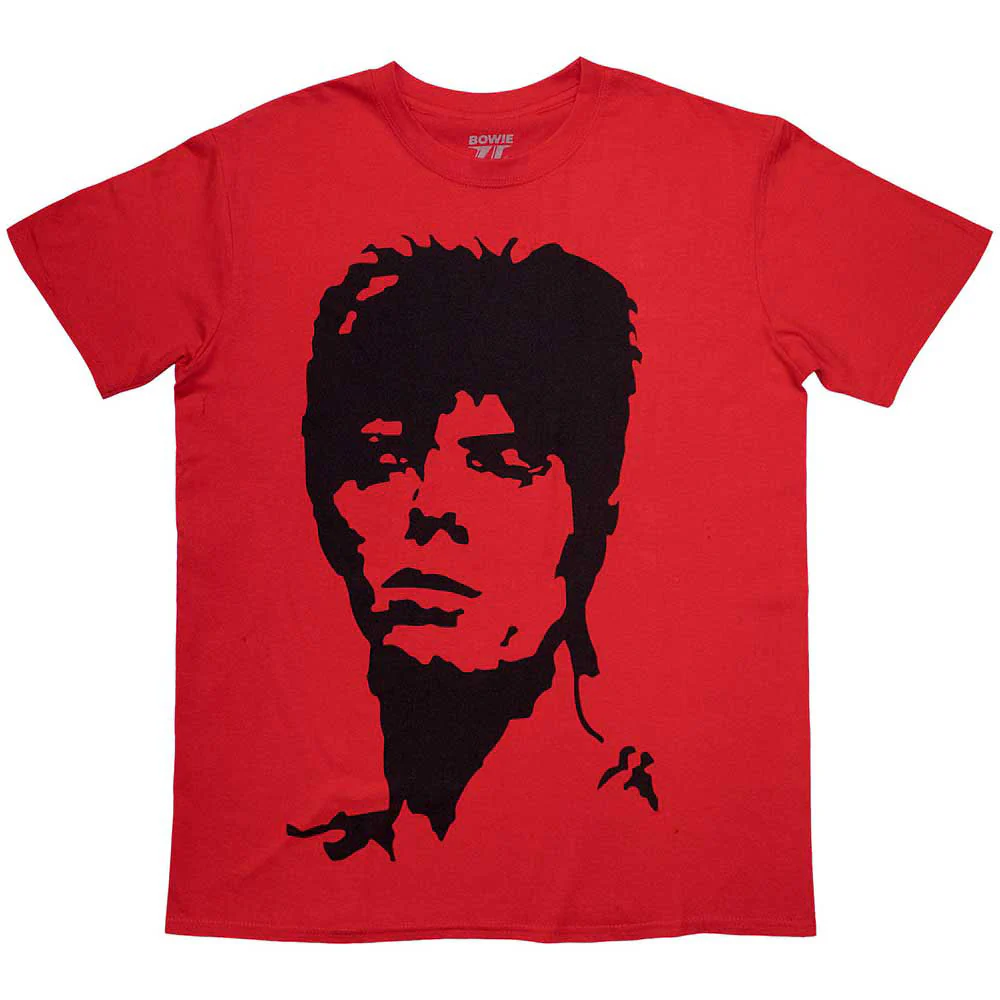 Rockinstone Unisex David Bowie 1973 Monochrome T-shirt Classic-xxl