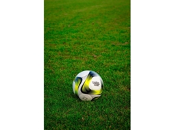 Bola de Futebol LYNX SPORT Multicor (Tamanho 5)