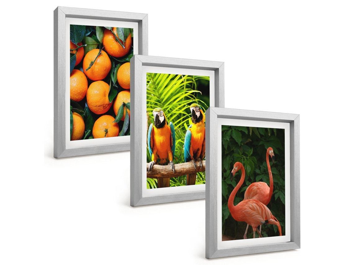 Composição De Quadros Detalhes De Frutas Tropicais Espelharte (3 Peças 20x30 Cm)