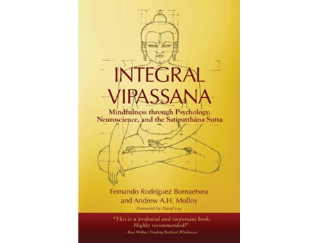 Livro Integral Vipassana Psychology, Neuroscience and the Satipatthana Sutta - 2023 EDITION de Fernando Rodríguez Bornaetxea (Inglês)